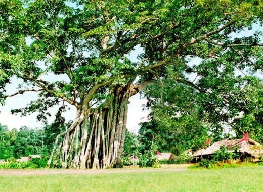 HỒ NÚI CỐC - CÂY ĐA TÂN TRÀO - ATK ĐỊNH HÓA – TAM ĐẢO