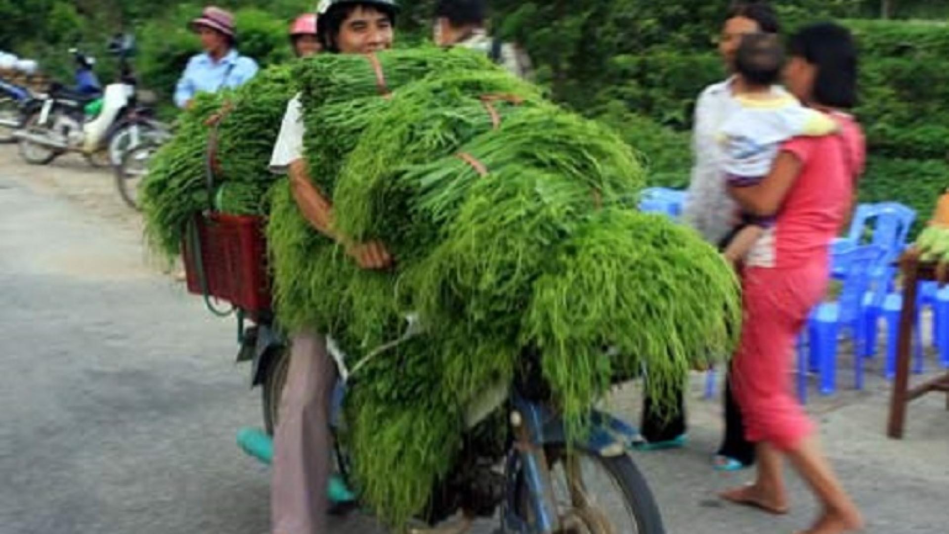 HỒ NÚI CỐC - CÂY ĐA TÂN TRÀO - ATK ĐỊNH HÓA – TAM ĐẢO