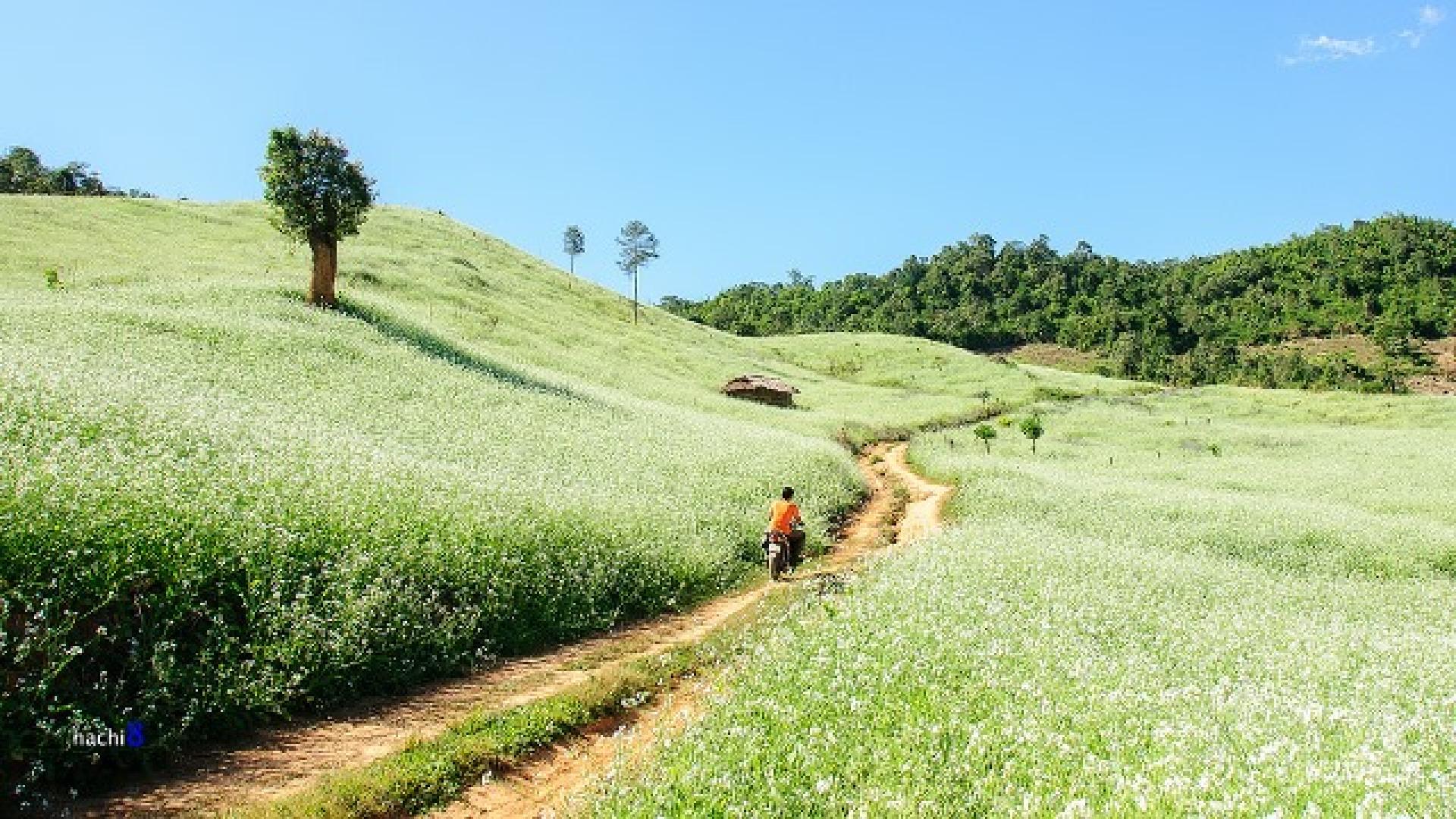 HÒA BÌNH - BẢN LÁC - MỘC CHÂU