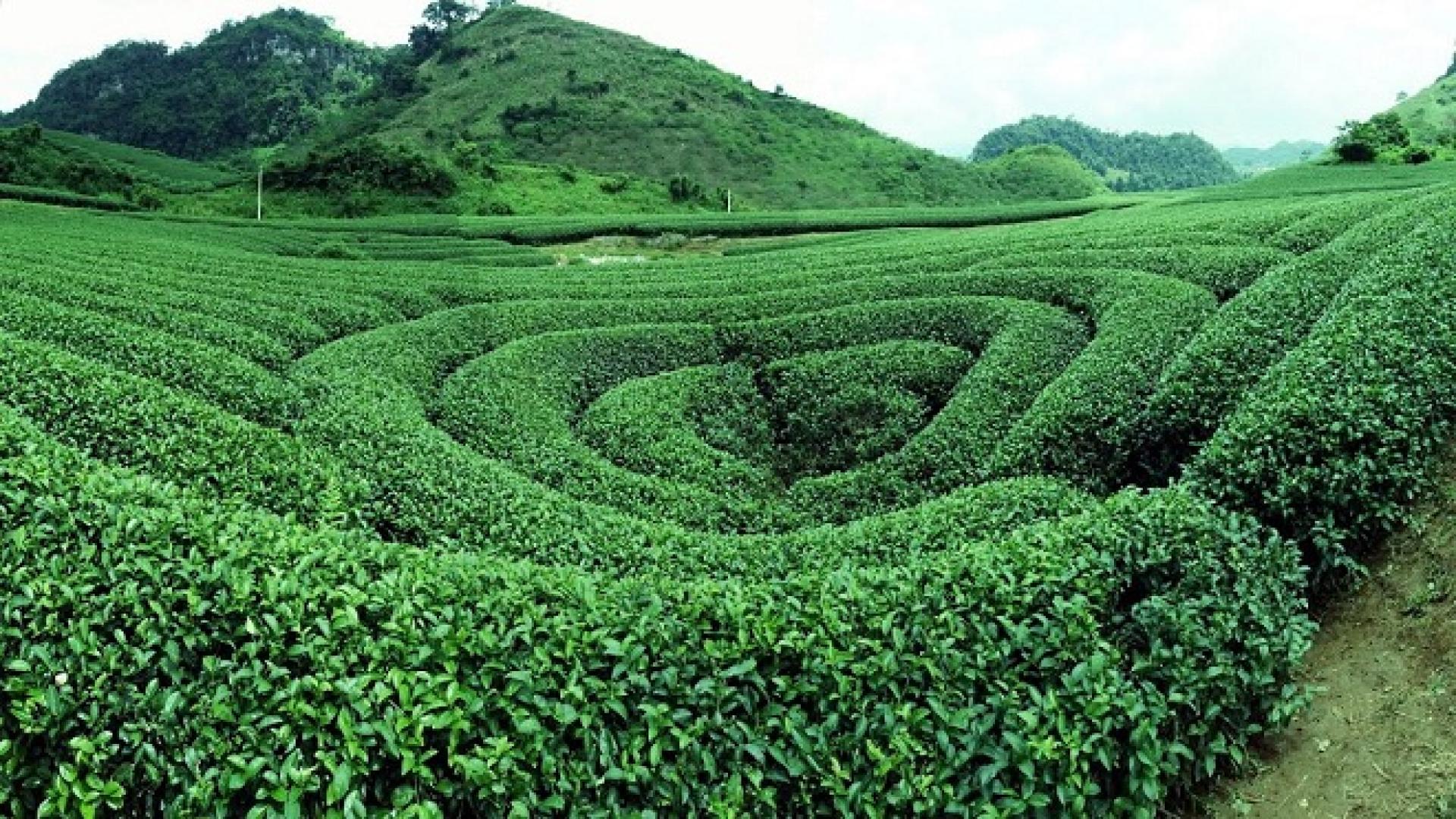 HÒA BÌNH - BẢN LÁC - MỘC CHÂU