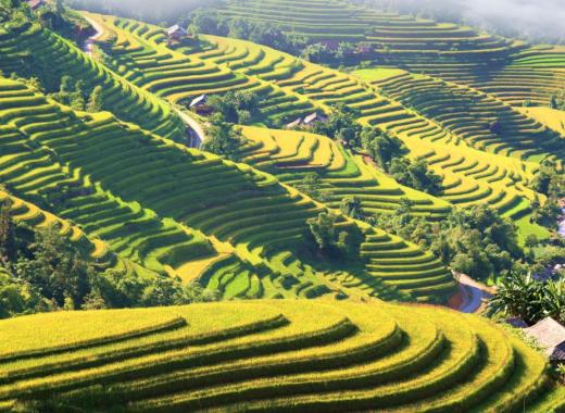 Khám phá vẻ đẹp Hà Giang